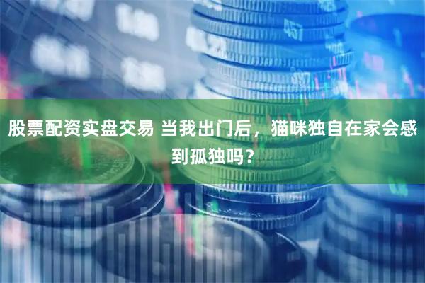 股票配资实盘交易 当我出门后，猫咪独自在家会感到孤独吗？